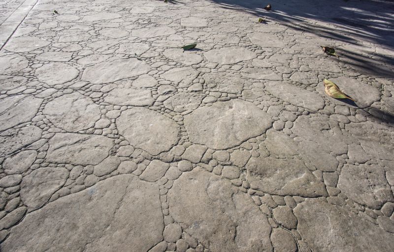 Decorative Concrete Repair in Boynton Beach, FL